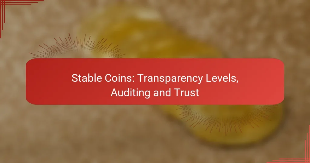 Stable Coins: Transparency Levels, Auditing and Trust