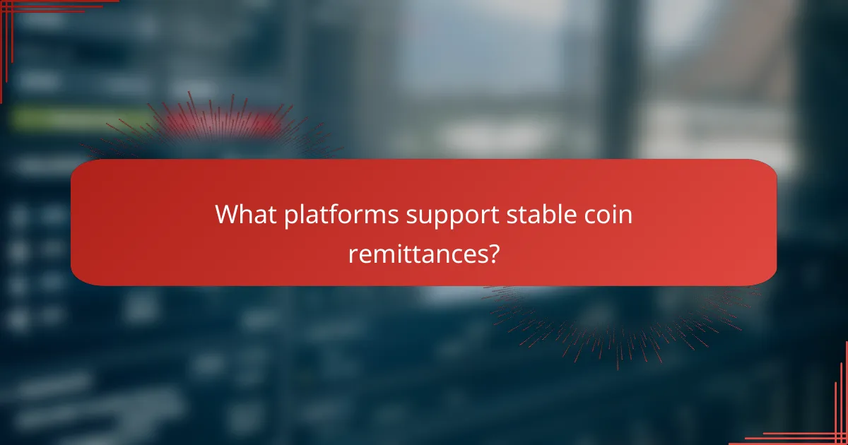 What platforms support stable coin remittances?