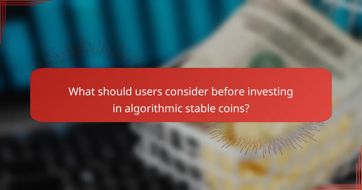 What should users consider before investing in algorithmic stable coins?